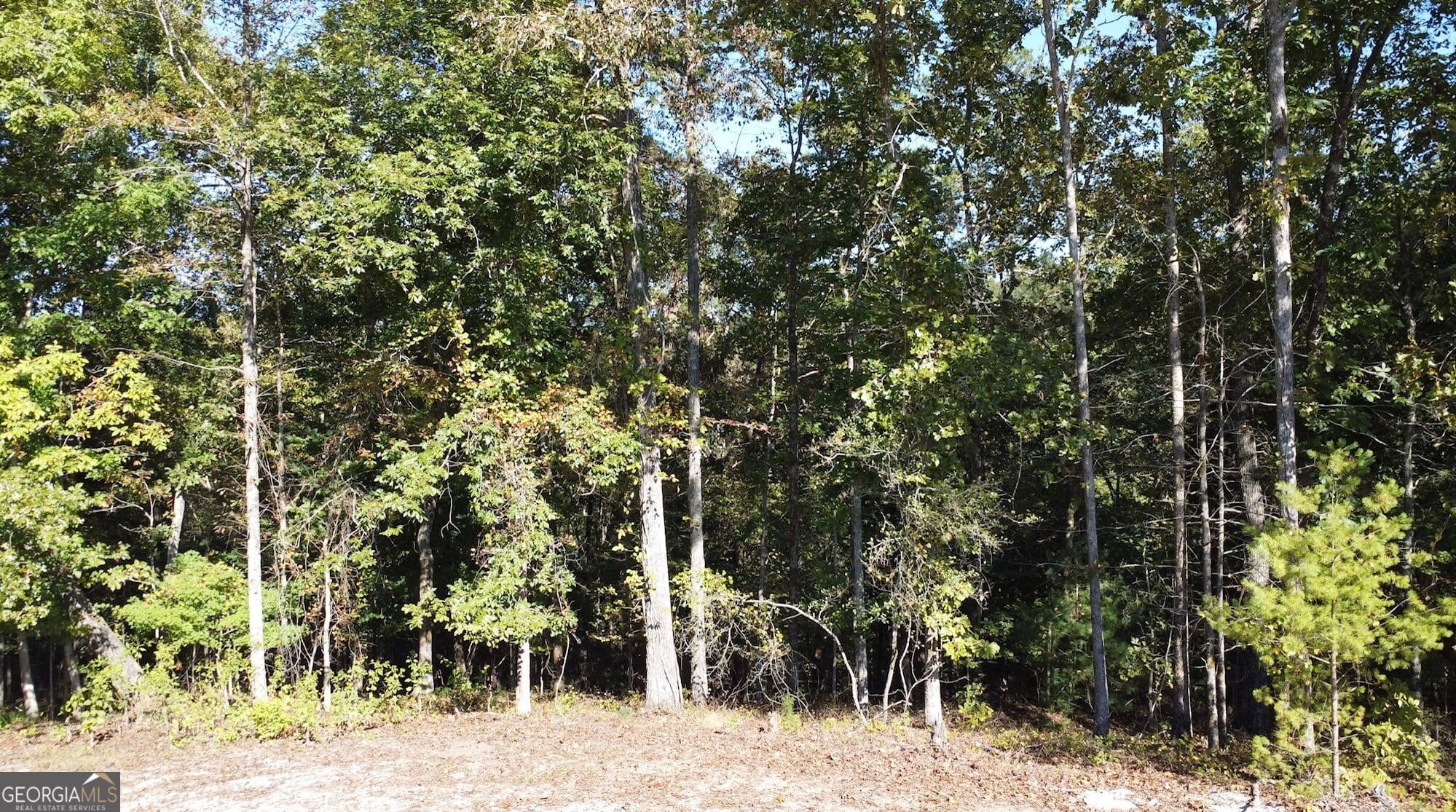 residential lot for sale at 0 Rebekah Ridge Road, Talking Rock, GA 30175 — photo 4