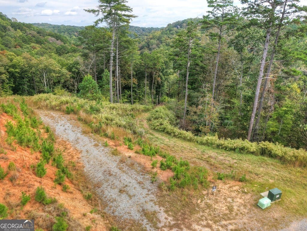 residential lot for sale at LT 269 River View Trail, Ellijay, GA 30540 — photo 2