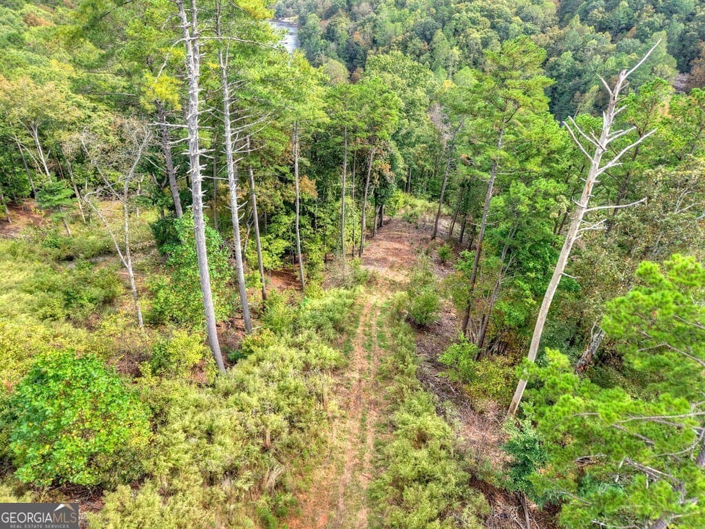 residential lot for sale at LT 269 River View Trail, Ellijay, GA 30540 — photo 3