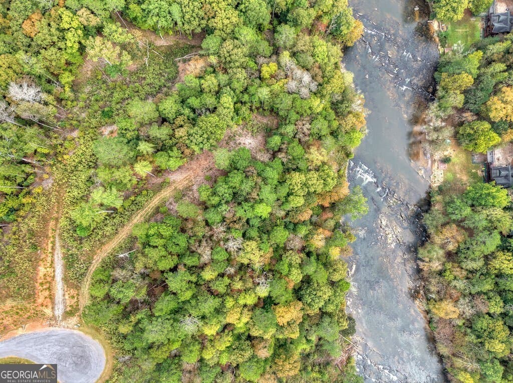 residential lot for sale at LT 269 River View Trail, Ellijay, GA 30540 — photo 5