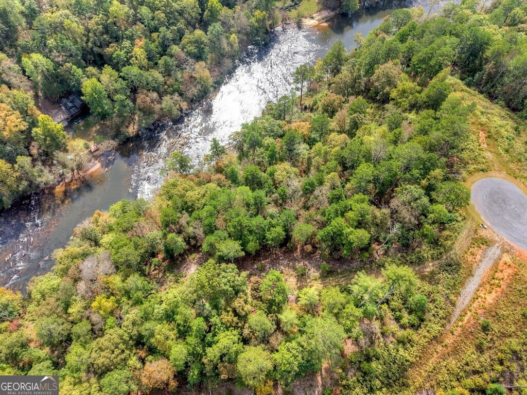 residential lot for sale at LT 269 River View Trail, Ellijay, GA 30540 — photo 9