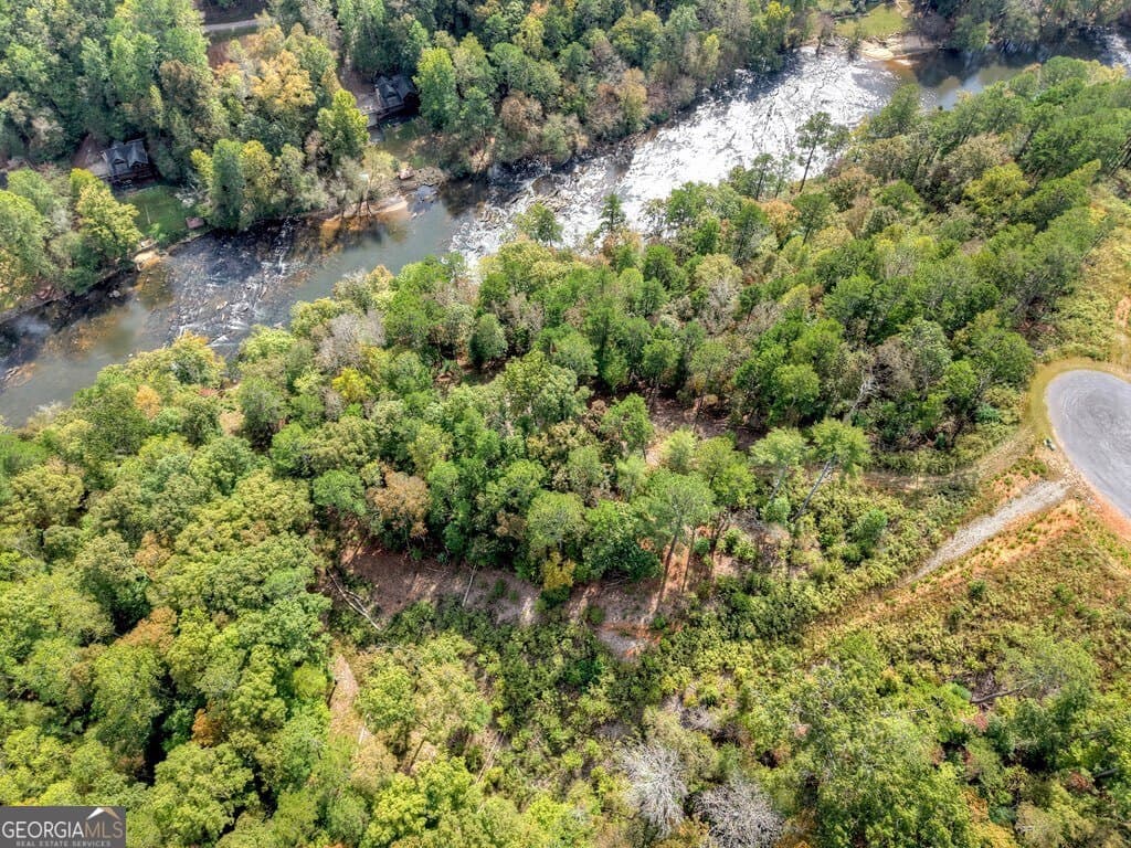 residential lot for sale at LT 269 River View Trail, Ellijay, GA 30540 — photo 10
