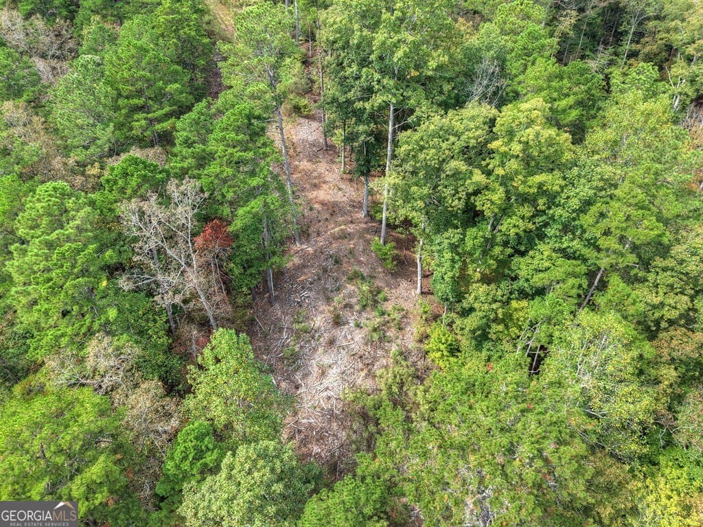residential lot for sale at LT 269 River View Trail, Ellijay, GA 30540 — photo 4