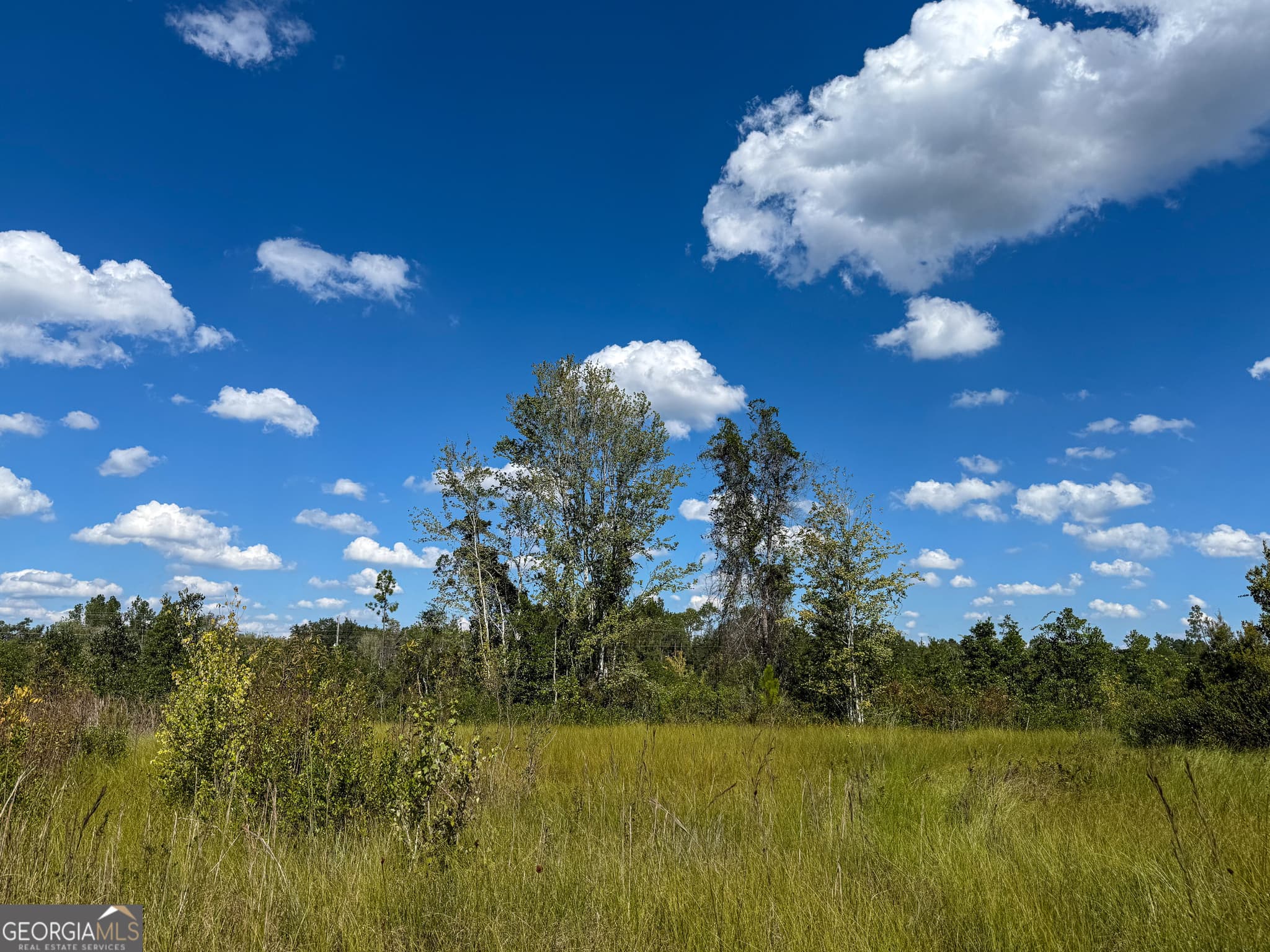 unimproved land for sale at 0 Highway 84 3, Homerville, GA 31634 — photo 2
