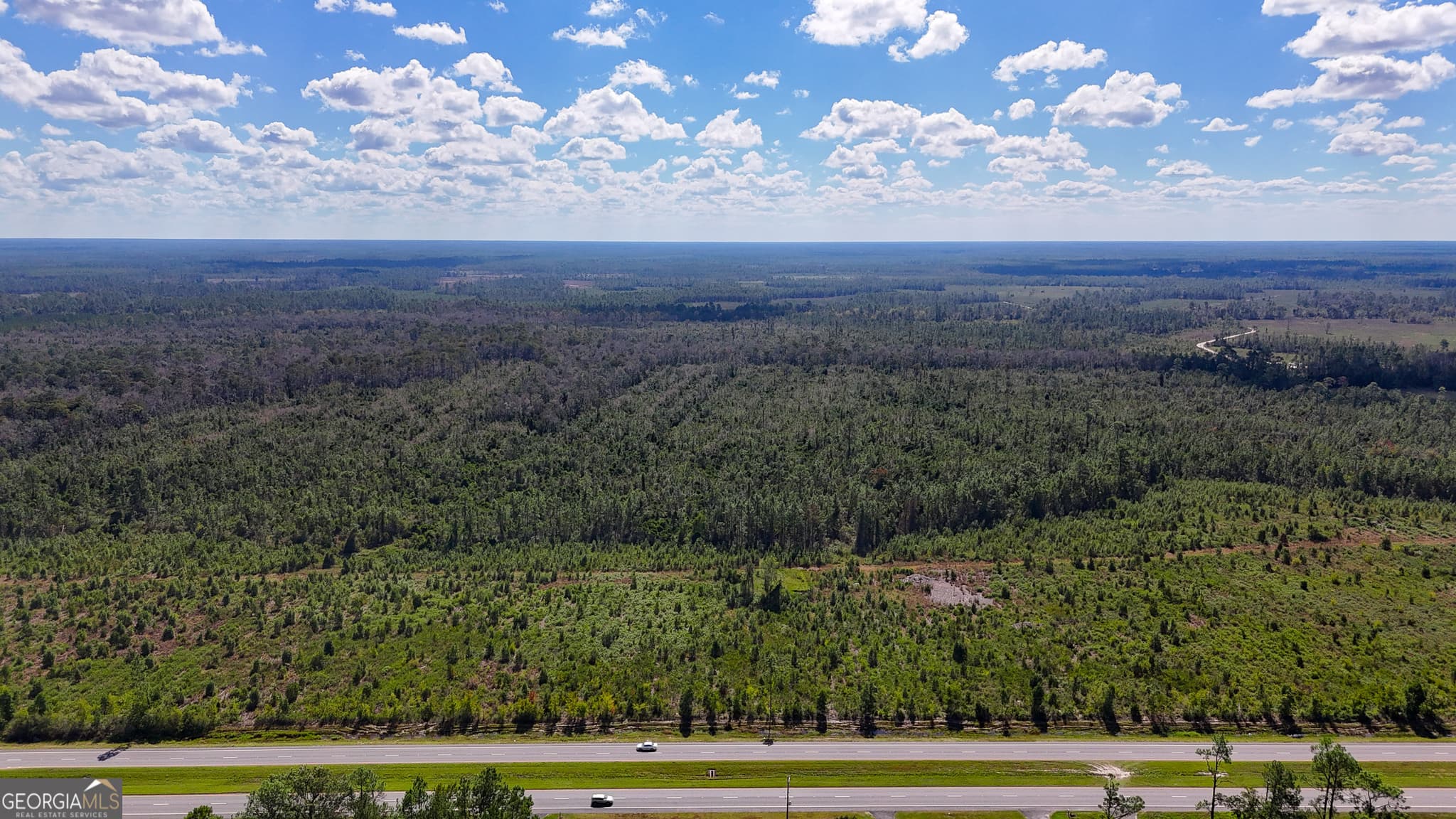 unimproved land for sale at 0 Highway 84 3, Homerville, GA 31634 — photo 6