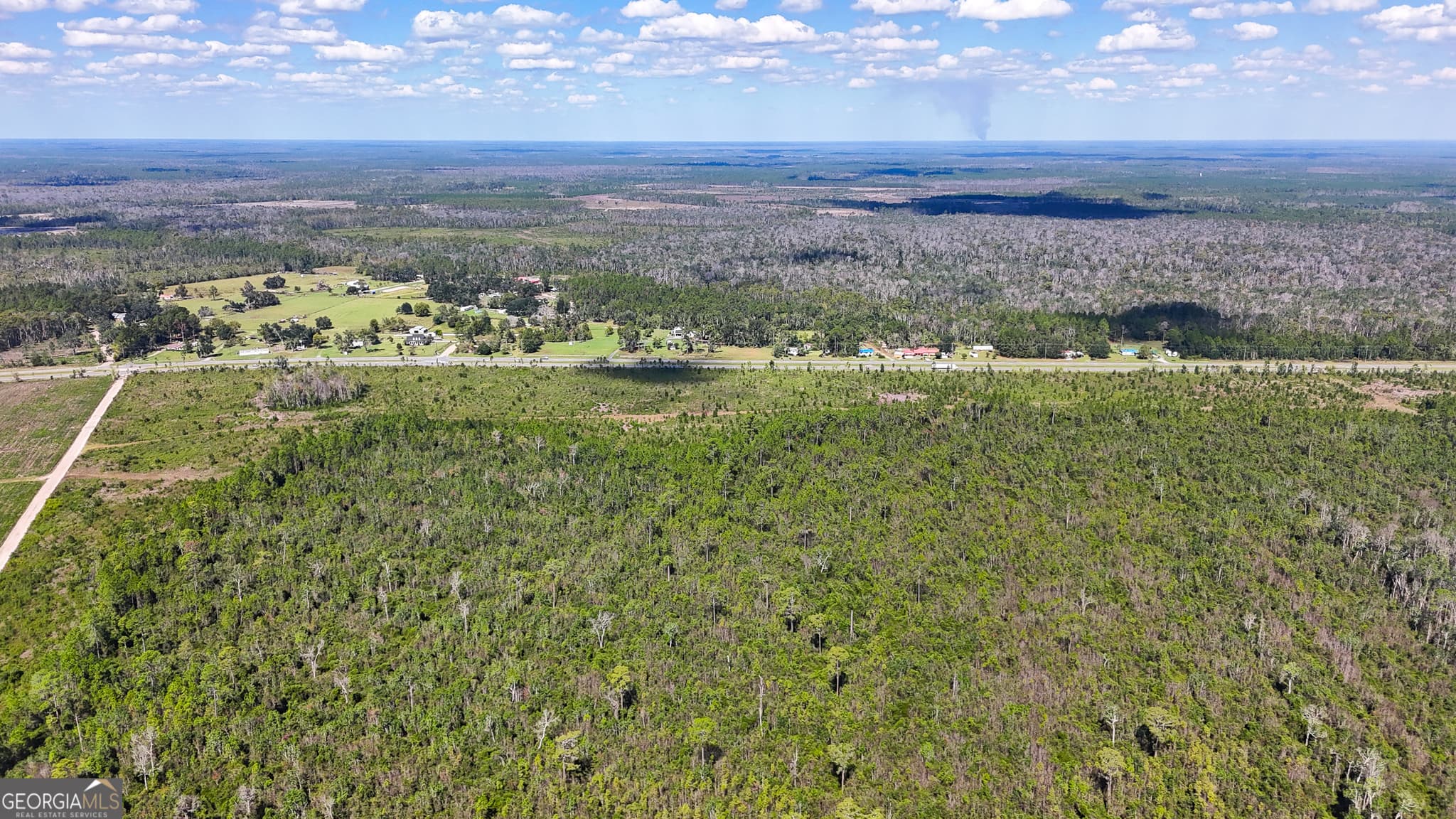 unimproved land for sale at 0 Highway 84 3, Homerville, GA 31634 — photo 7