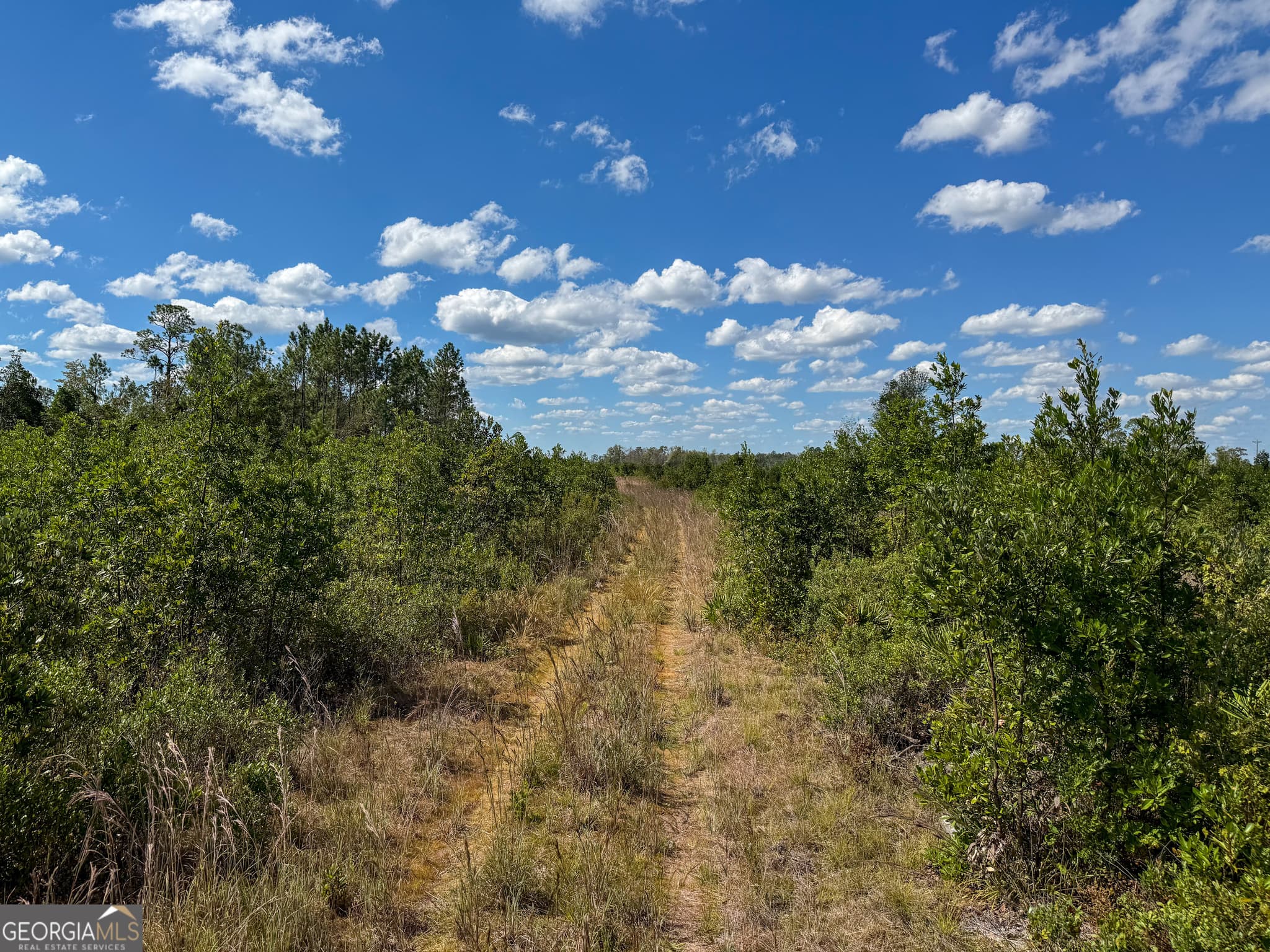 unimproved land for sale at 0 Highway 84 3, Homerville, GA 31634 — photo 3