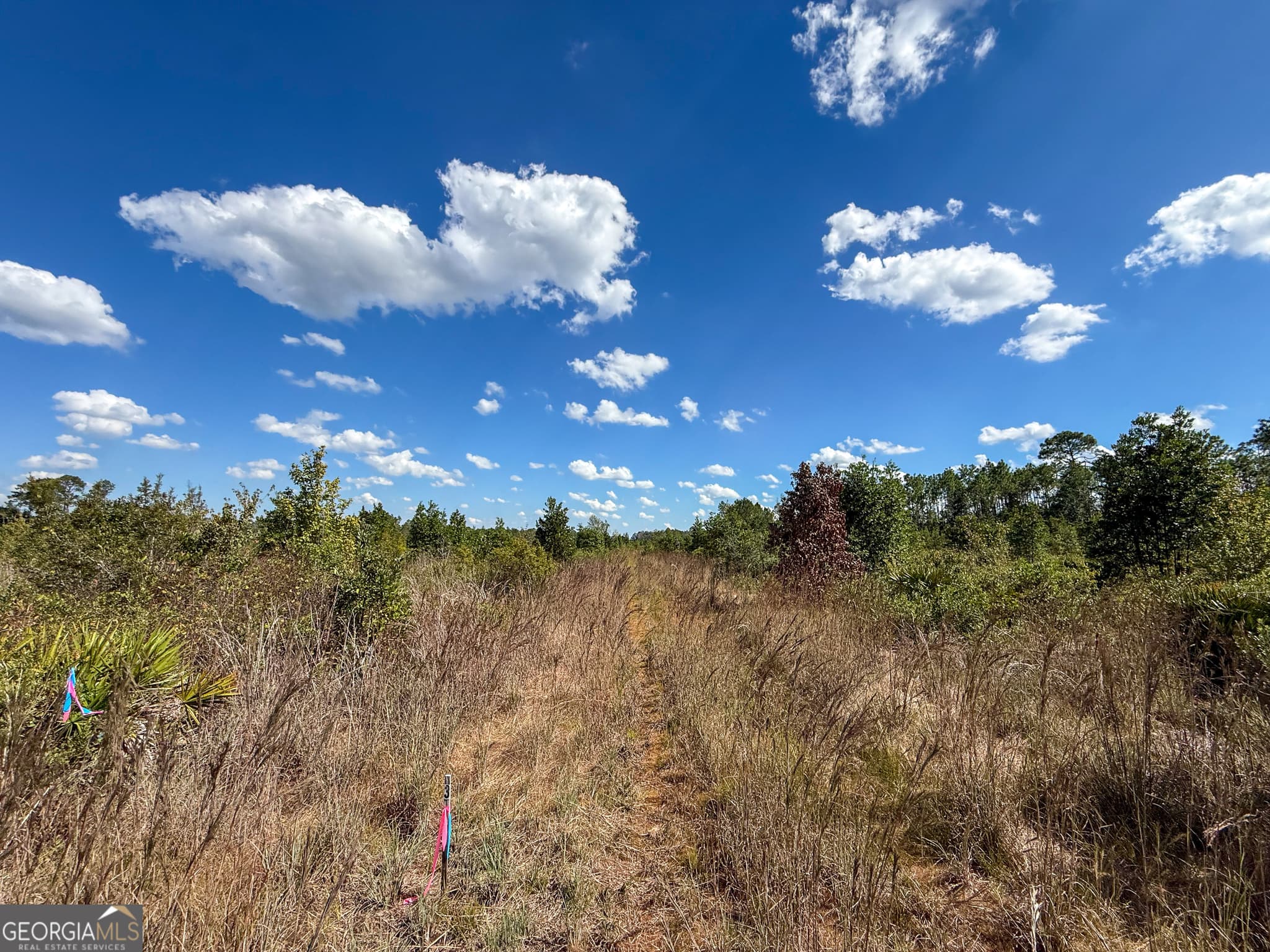 unimproved land for sale at 0 Highway 84 3, Homerville, GA 31634 — photo 1 of 11