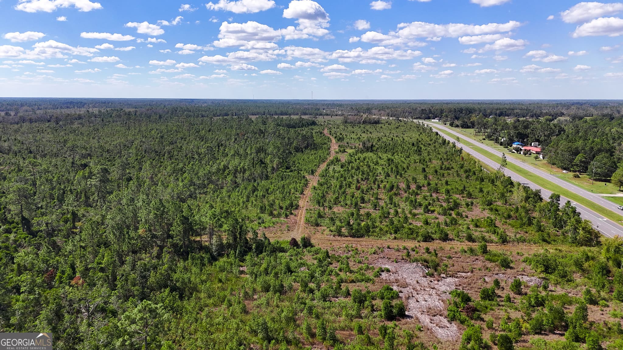 unimproved land for sale at 0 Highway 84 3, Homerville, GA 31634 — photo 9
