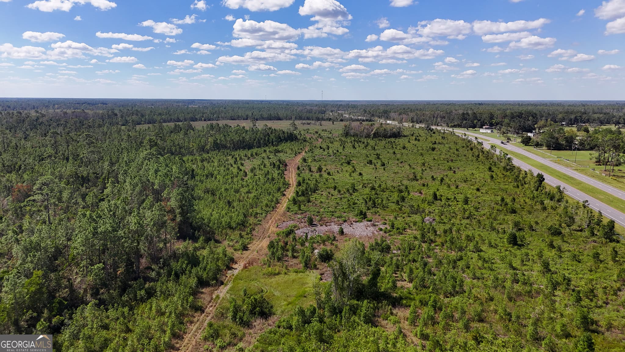 unimproved land for sale at 0 Highway 84 3, Homerville, GA 31634 — photo 10