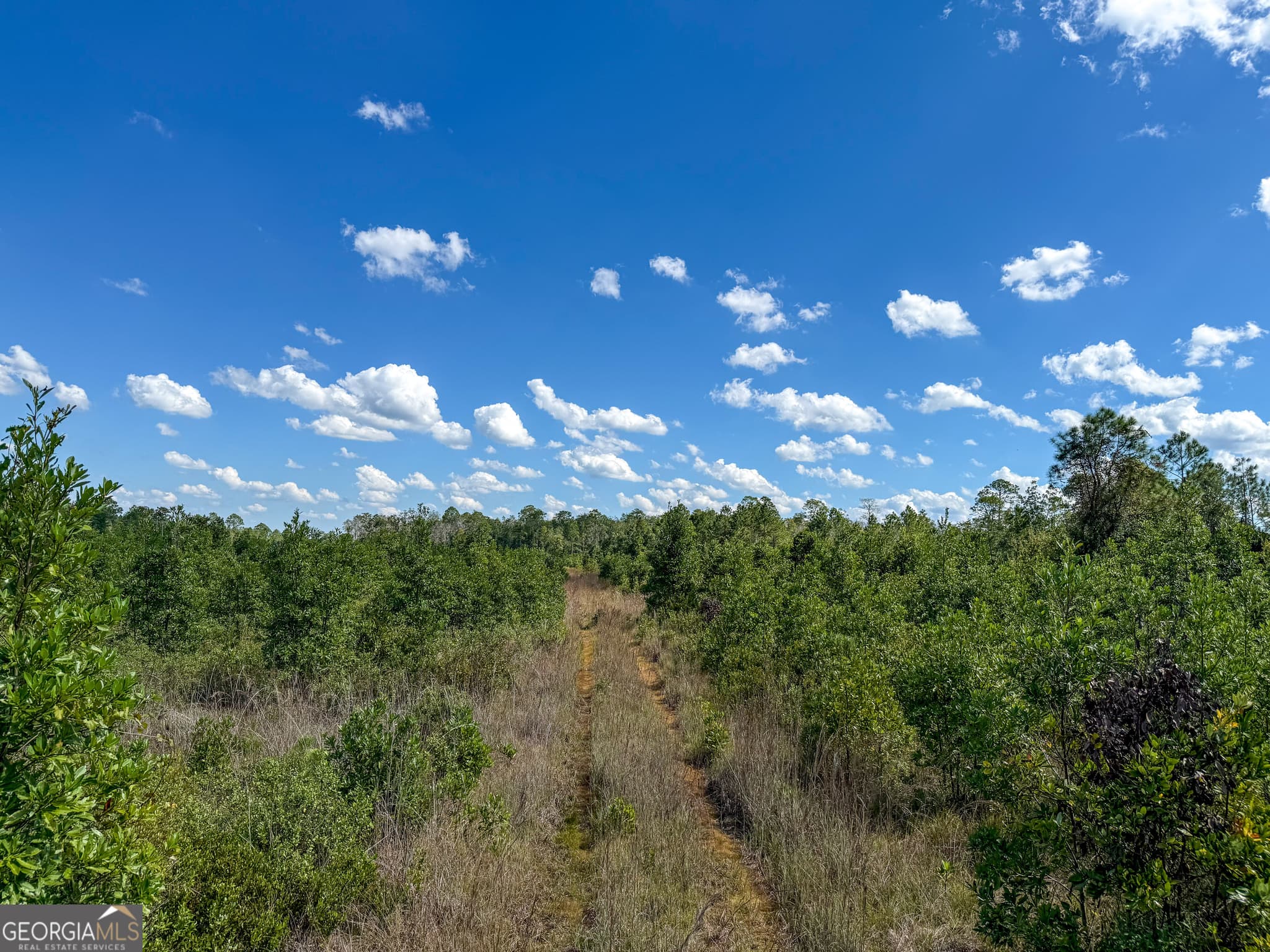 unimproved land for sale at 0 Highway 84 3, Homerville, GA 31634 — photo 4