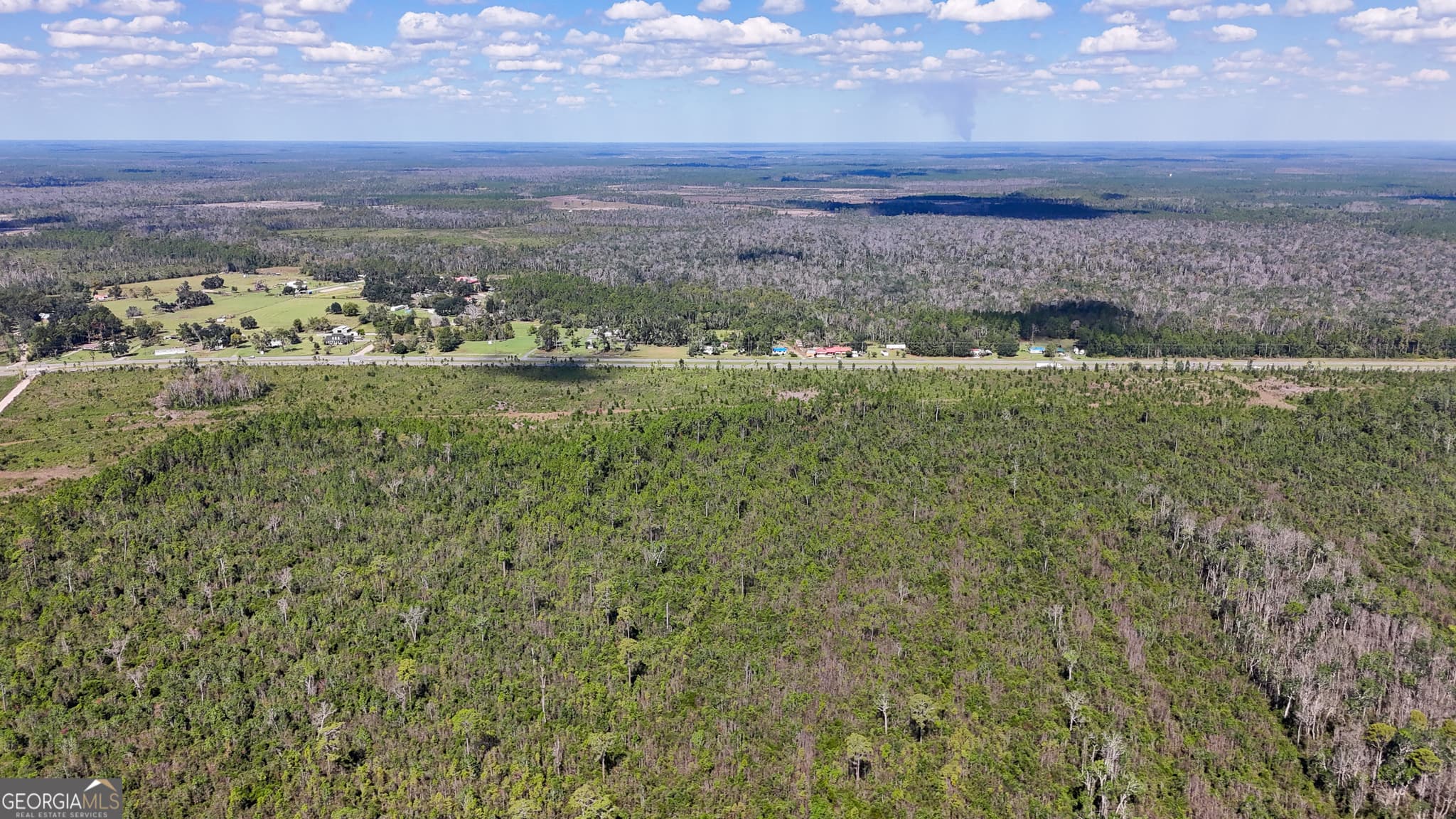 unimproved land for sale at 0 Highway 84 3, Homerville, GA 31634 — photo 8