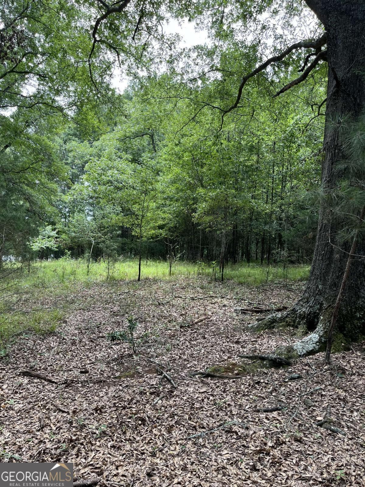 residential lot for sale at 1240 Summit Drive, Watkinsville, GA 30677 — photo 6