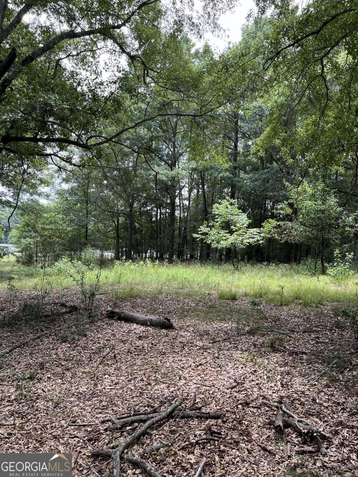 residential lot for sale at 1240 Summit Drive, Watkinsville, GA 30677 — photo 7