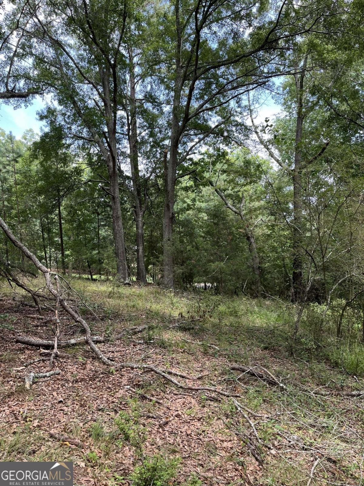 residential lot for sale at 1240 Summit Drive, Watkinsville, GA 30677 — photo 5