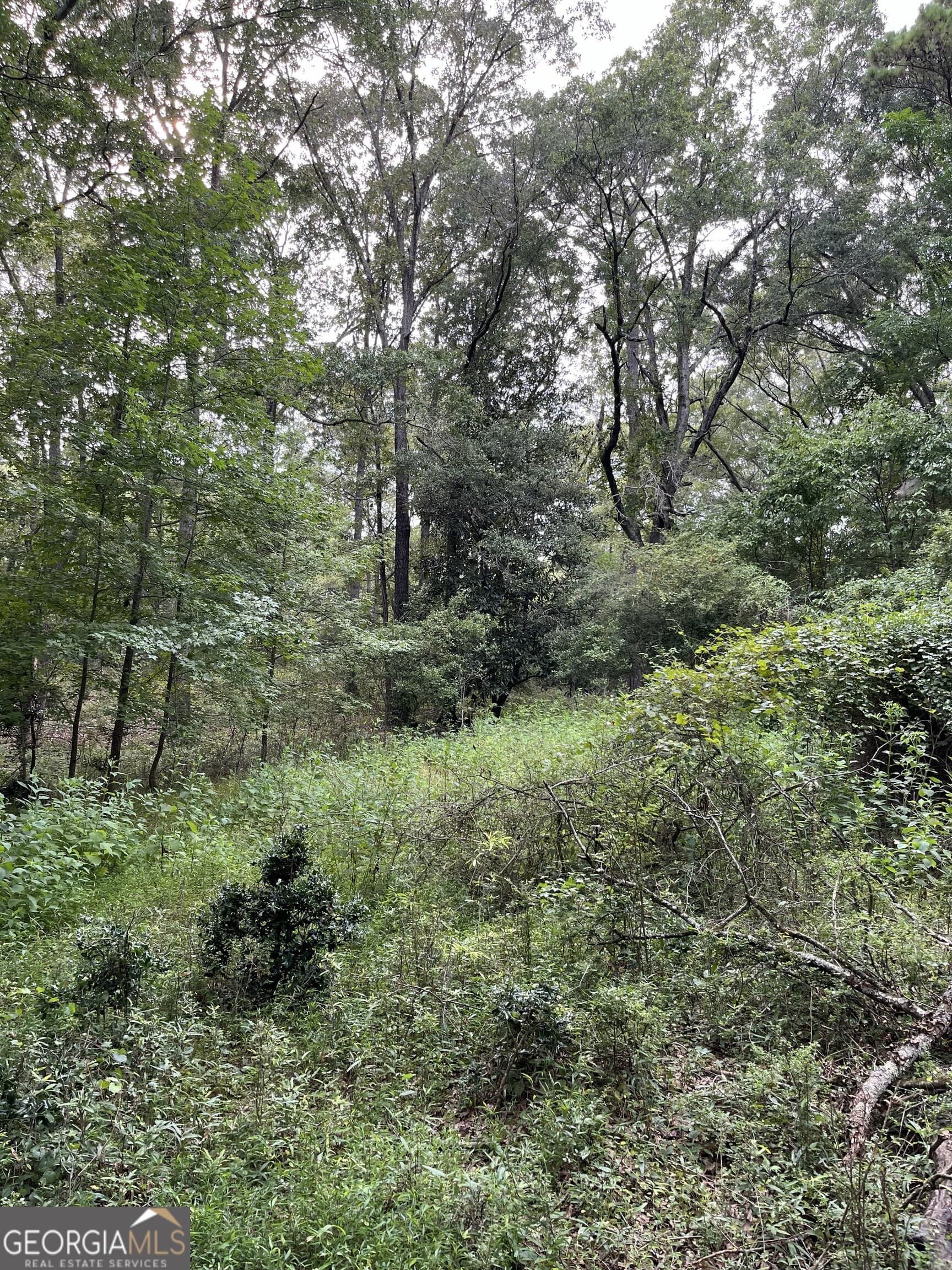 residential lot for sale at 1240 Summit Drive, Watkinsville, GA 30677 — photo 9