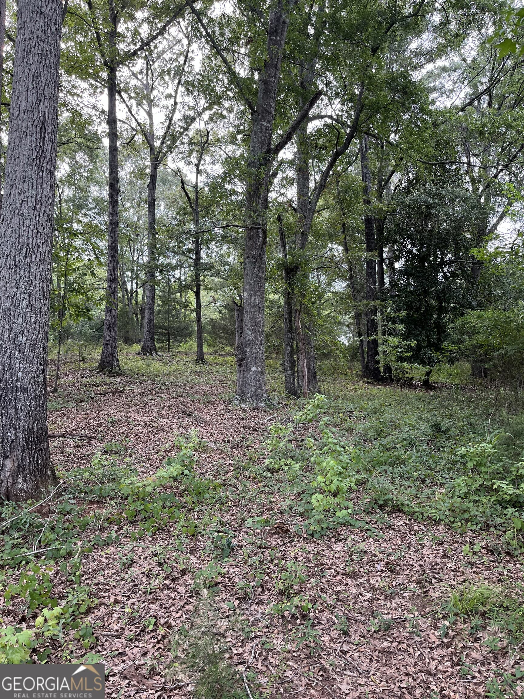 residential lot for sale at 1240 Summit Drive, Watkinsville, GA 30677 — photo 10