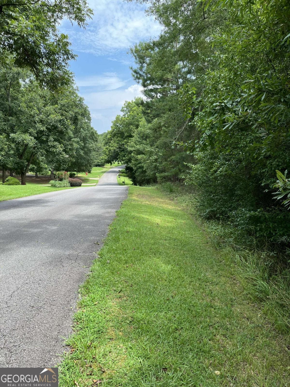 residential lot for sale at 1240 Summit Drive, Watkinsville, GA 30677 — photo 4