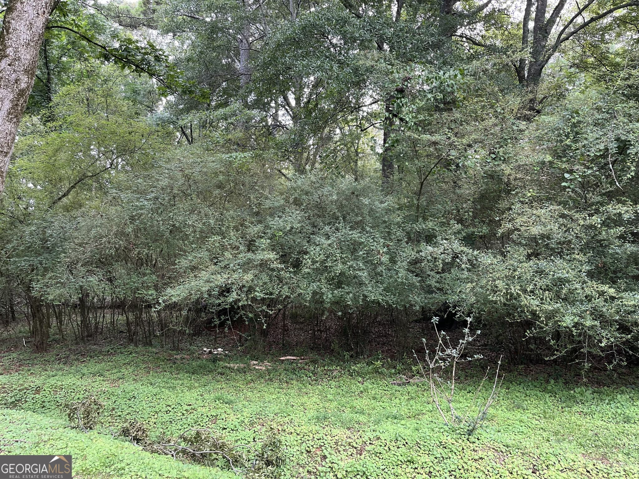 residential lot for sale at 1240 Summit Drive, Watkinsville, GA 30677 — photo 8