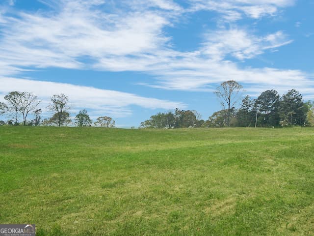 agriculture for sale at 963 Gooseneck Road LOT 2, Eastanollee, GA 30538 — photo 6