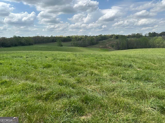 agriculture for sale at 963 Gooseneck Road LOT 2, Eastanollee, GA 30538 — photo 7