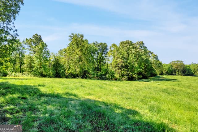 agriculture for sale at 963 Gooseneck Road LOT 2, Eastanollee, GA 30538 — photo 10