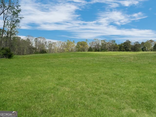 agriculture for sale at 963 Gooseneck Road LOT 2, Eastanollee, GA 30538 — photo 4