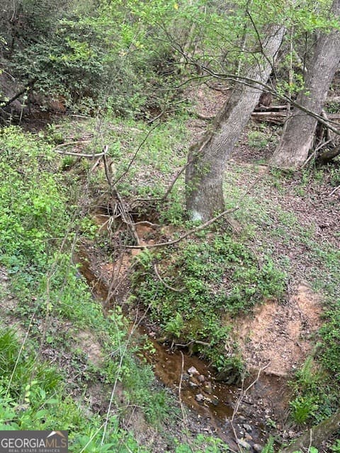 agriculture for sale at 963 Gooseneck Road LOT 2, Eastanollee, GA 30538 — photo 8