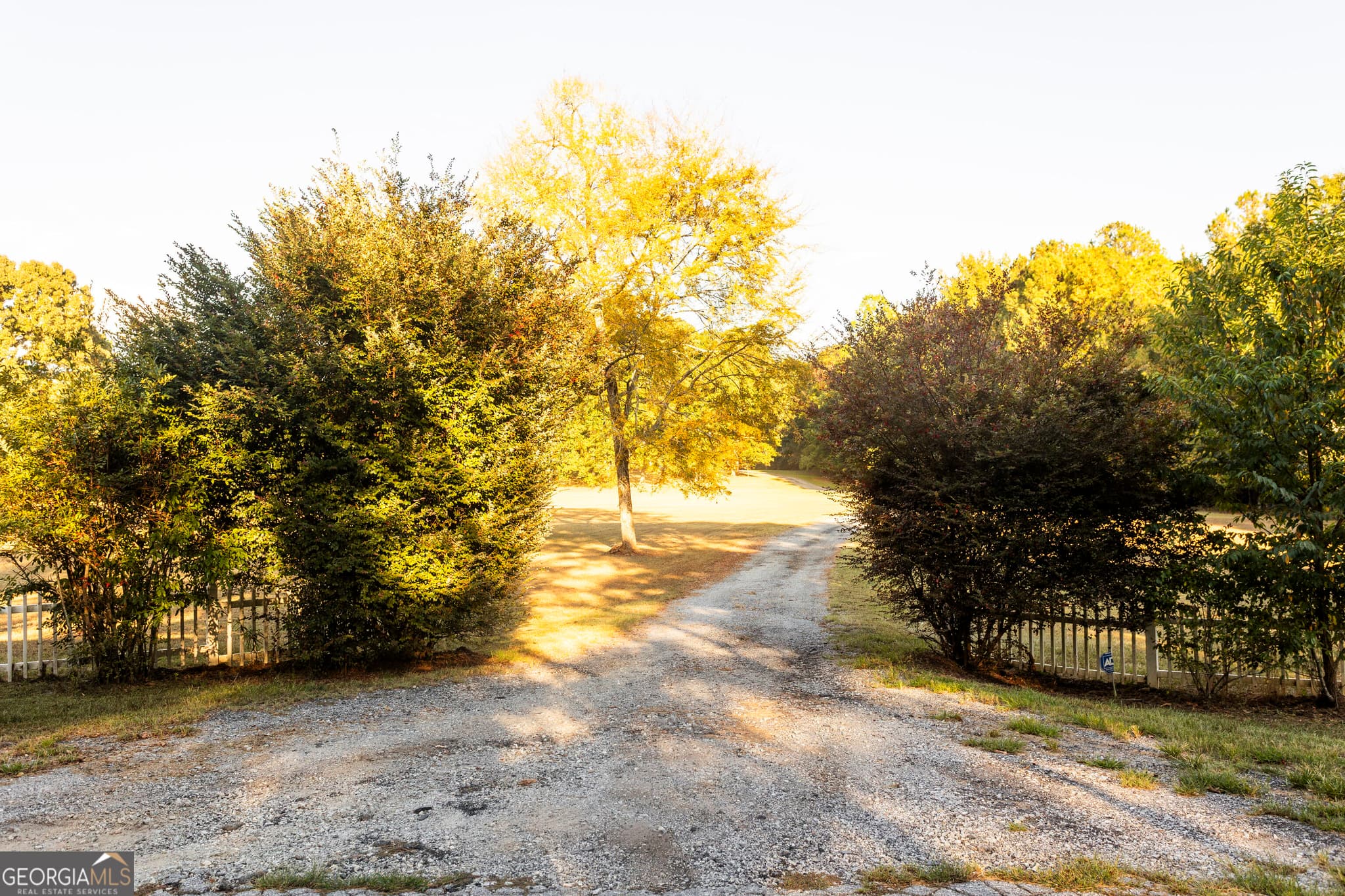 4 bedroom, 3 bathroom, 2,480 sq ft single family residence for sale at 1650 Pierce Dairy Road, Madison, GA 30650 — photo 4