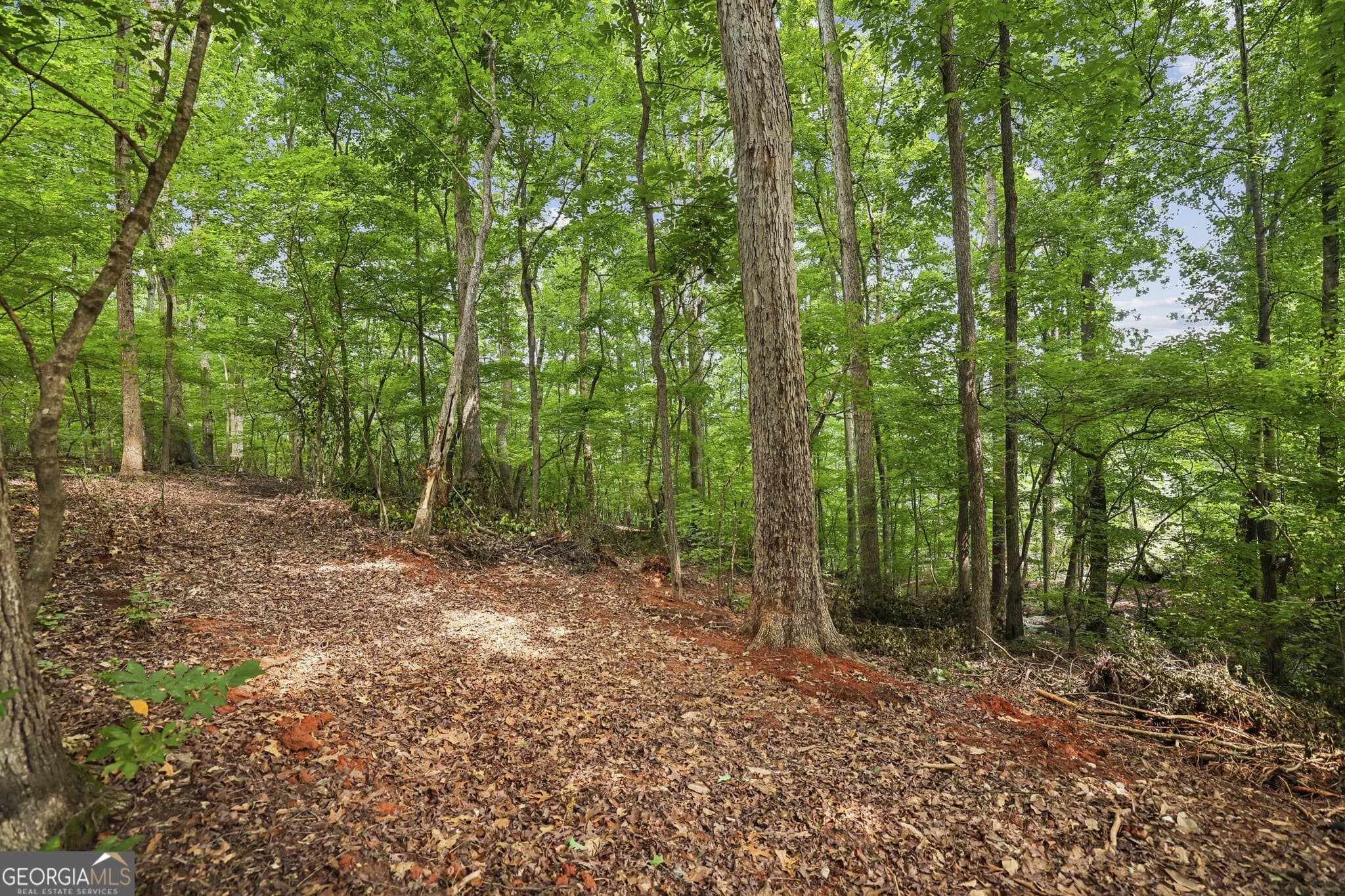 unimproved land for sale at 0 Dunraven Place, Sandy Springs, GA 30328 — photo 6