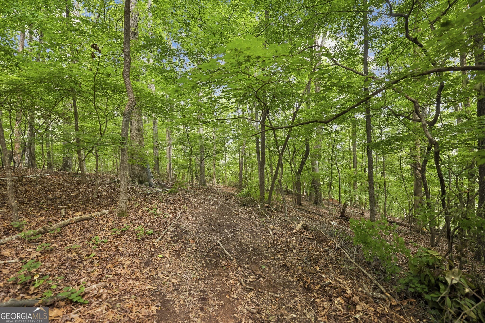 unimproved land for sale at 0 Dunraven Place, Sandy Springs, GA 30328 — photo 7