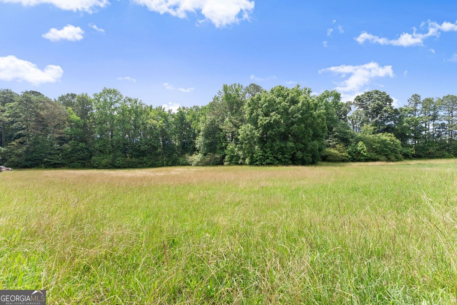 unimproved land for sale at 0 Howard Road, Cumming, GA 30040 — photo 3