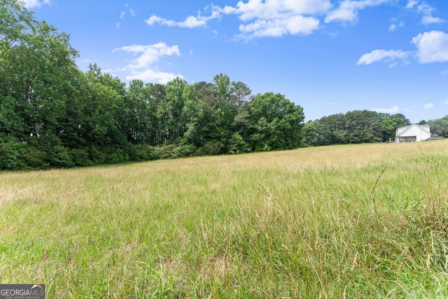 unimproved land for sale at 0 Howard Road, Cumming, GA 30040 — photo 4