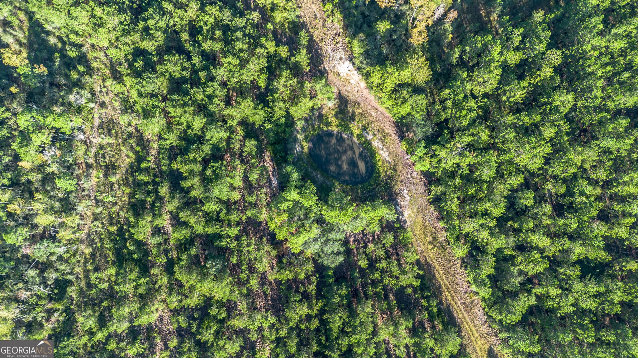 unimproved land for sale at 0 US Highway 301, Claxton, GA 30417 — photo 2