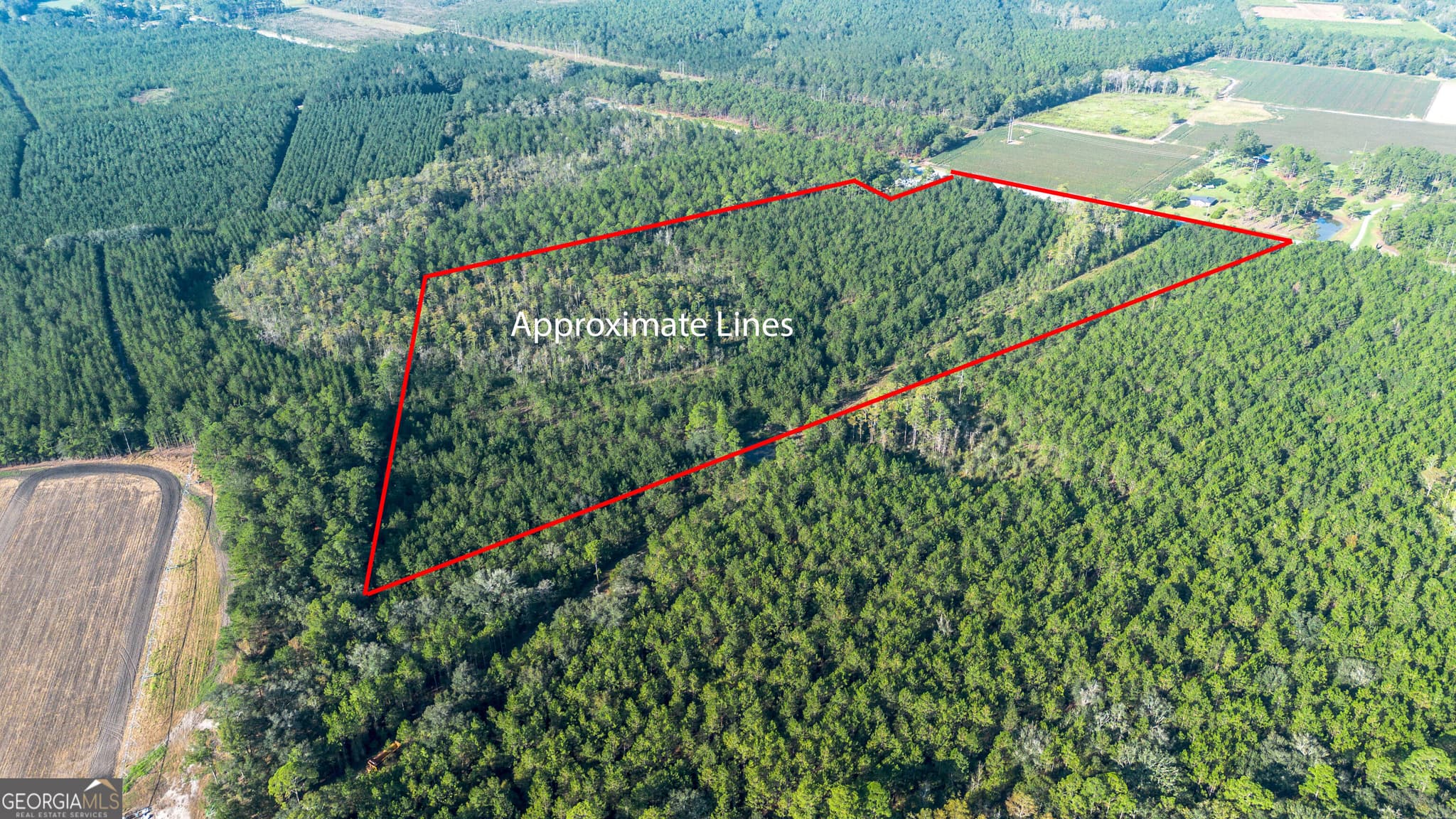 unimproved land for sale at 0 US Highway 301, Claxton, GA 30417 — photo 1 of 3