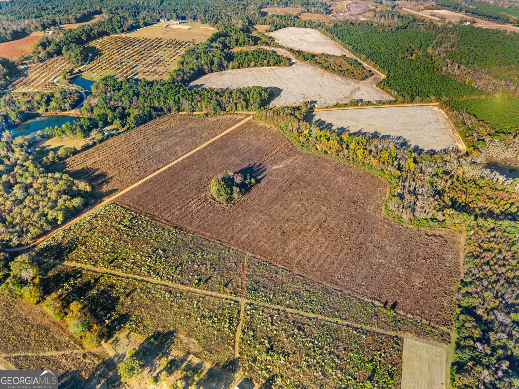 estate lot for sale at 0 Waters Lane LOT 3, Claxton, GA 30417 — photo 6