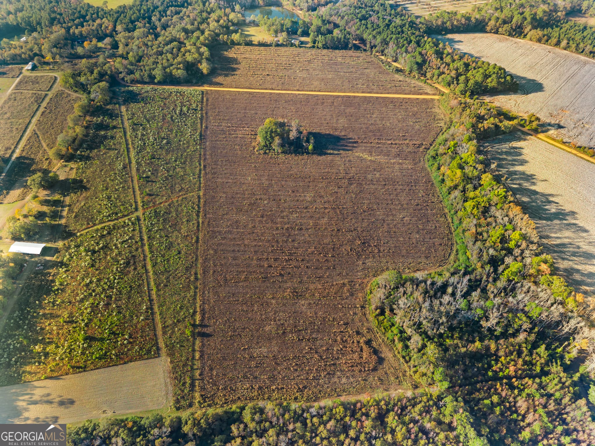 estate lot for sale at 0 Waters Lane LOT 3, Claxton, GA 30417 — photo 7