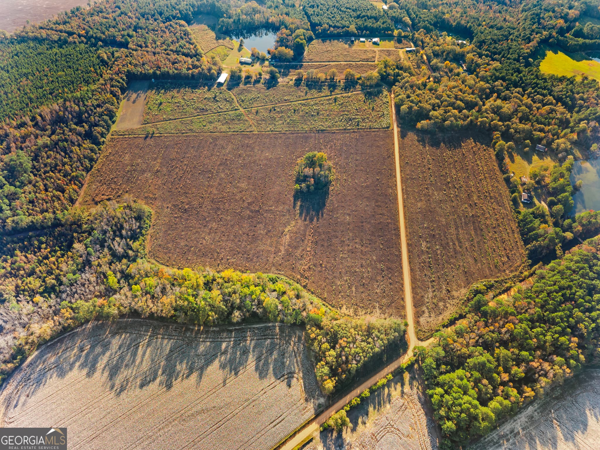 estate lot for sale at 0 Waters Lane LOT 3, Claxton, GA 30417 — photo 3