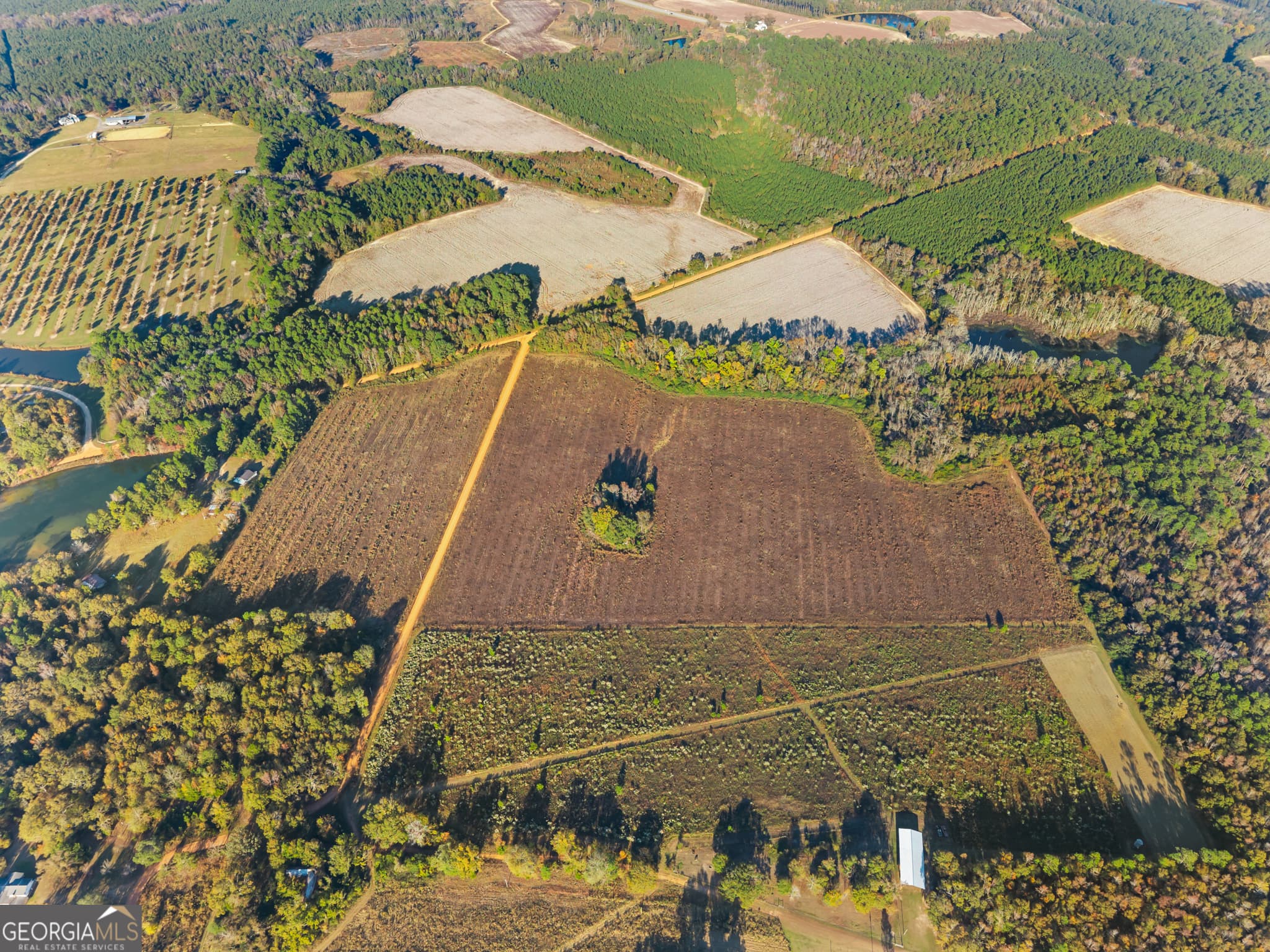 estate lot for sale at 0 Waters Lane LOT 3, Claxton, GA 30417 — photo 5