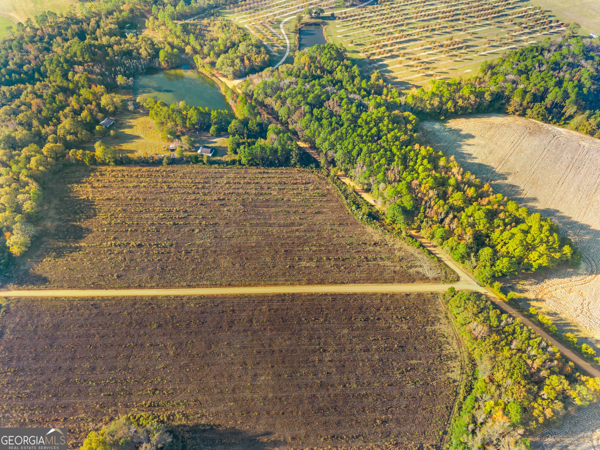 estate lot for sale at 0 Waters Lane LOT 3, Claxton, GA 30417 — photo 9