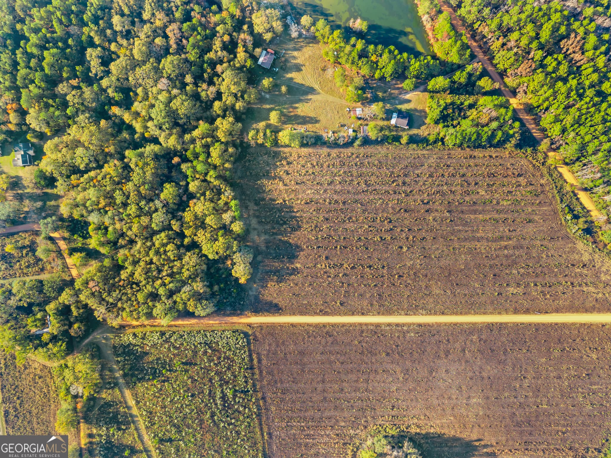 estate lot for sale at 0 Waters Lane LOT 3, Claxton, GA 30417 — photo 10