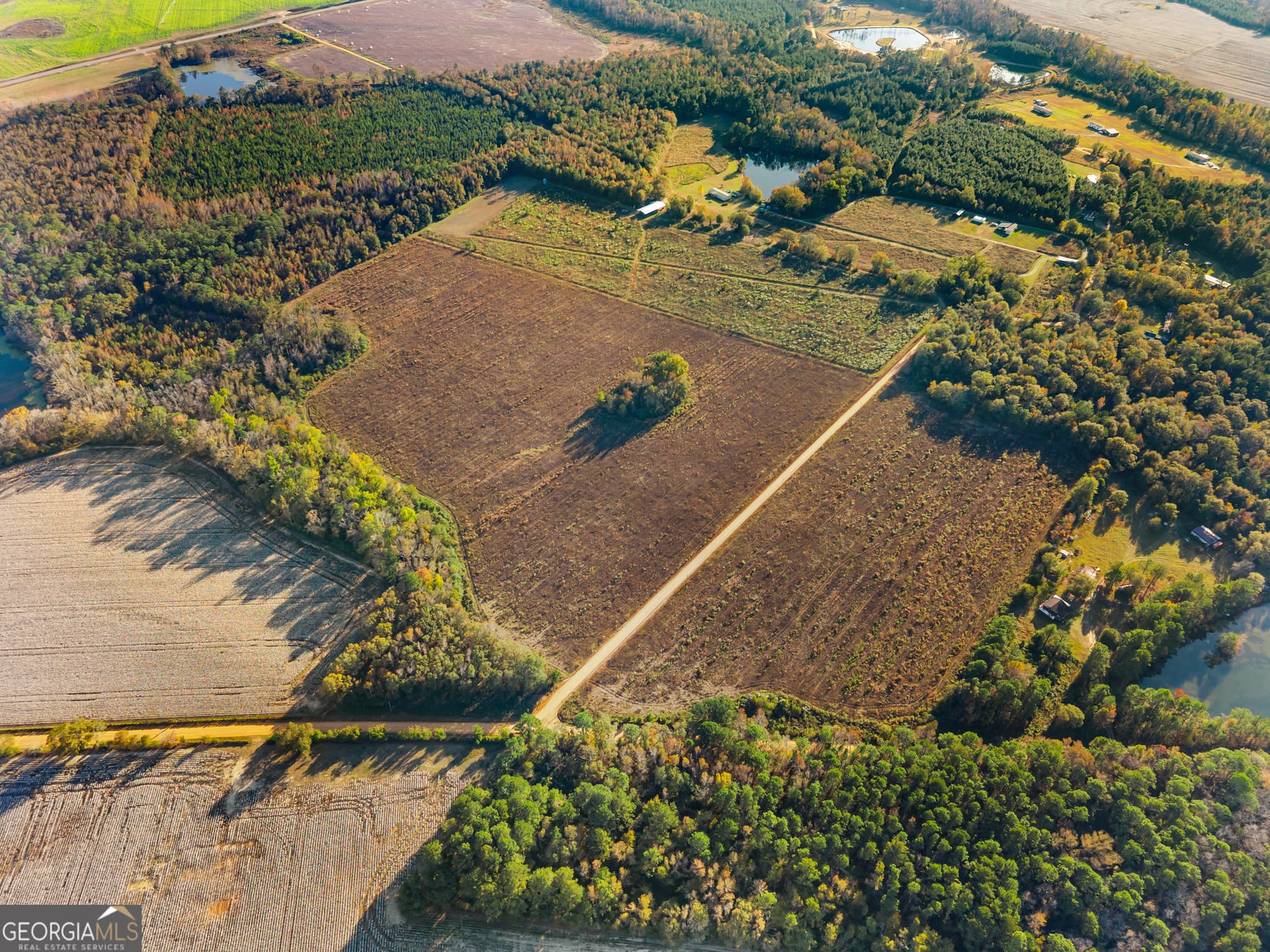 estate lot for sale at 0 Waters Lane LOT 3, Claxton, GA 30417 — photo 4