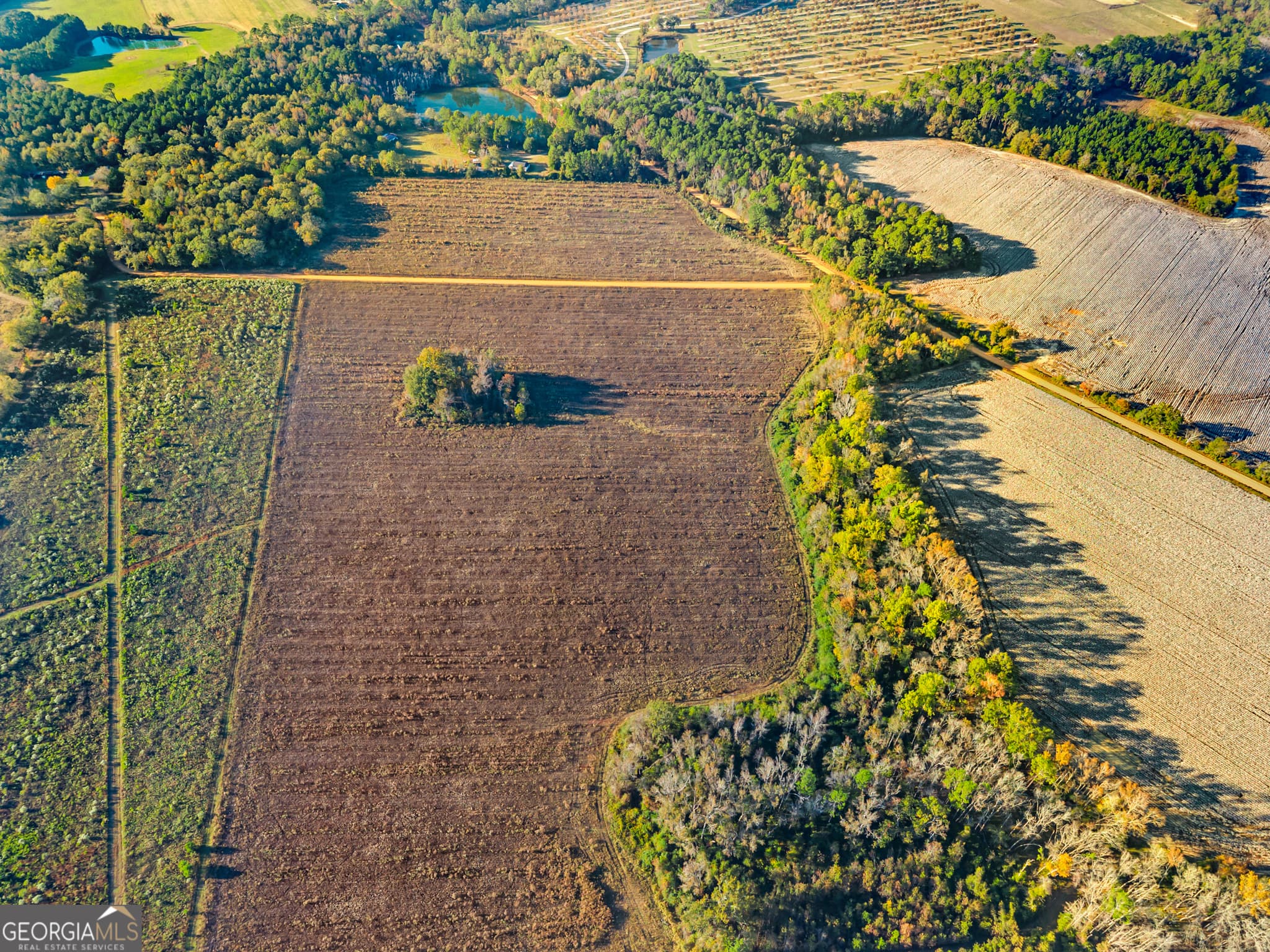 estate lot for sale at 0 Waters Lane LOT 3, Claxton, GA 30417 — photo 8