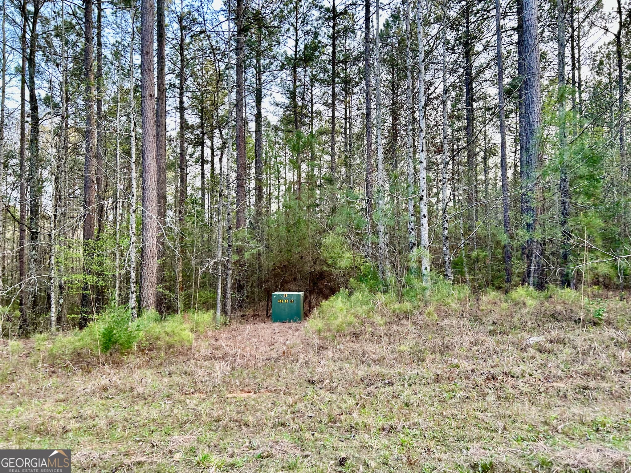 residential lot for sale at 0 Bond Drive, Elberton, GA 30635 — photo 2