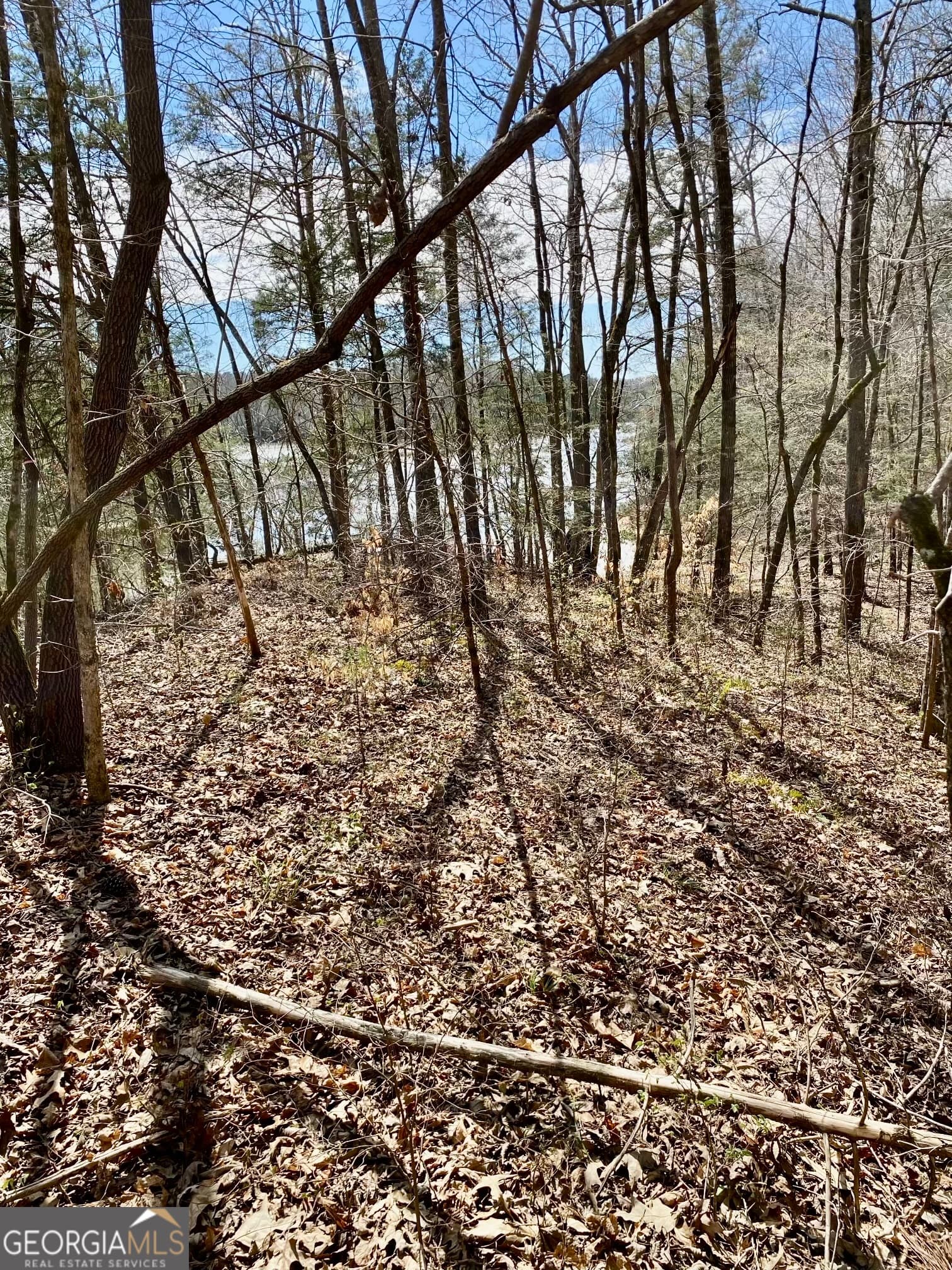 residential lot for sale at 0 Bond Drive, Elberton, GA 30635 — photo 5