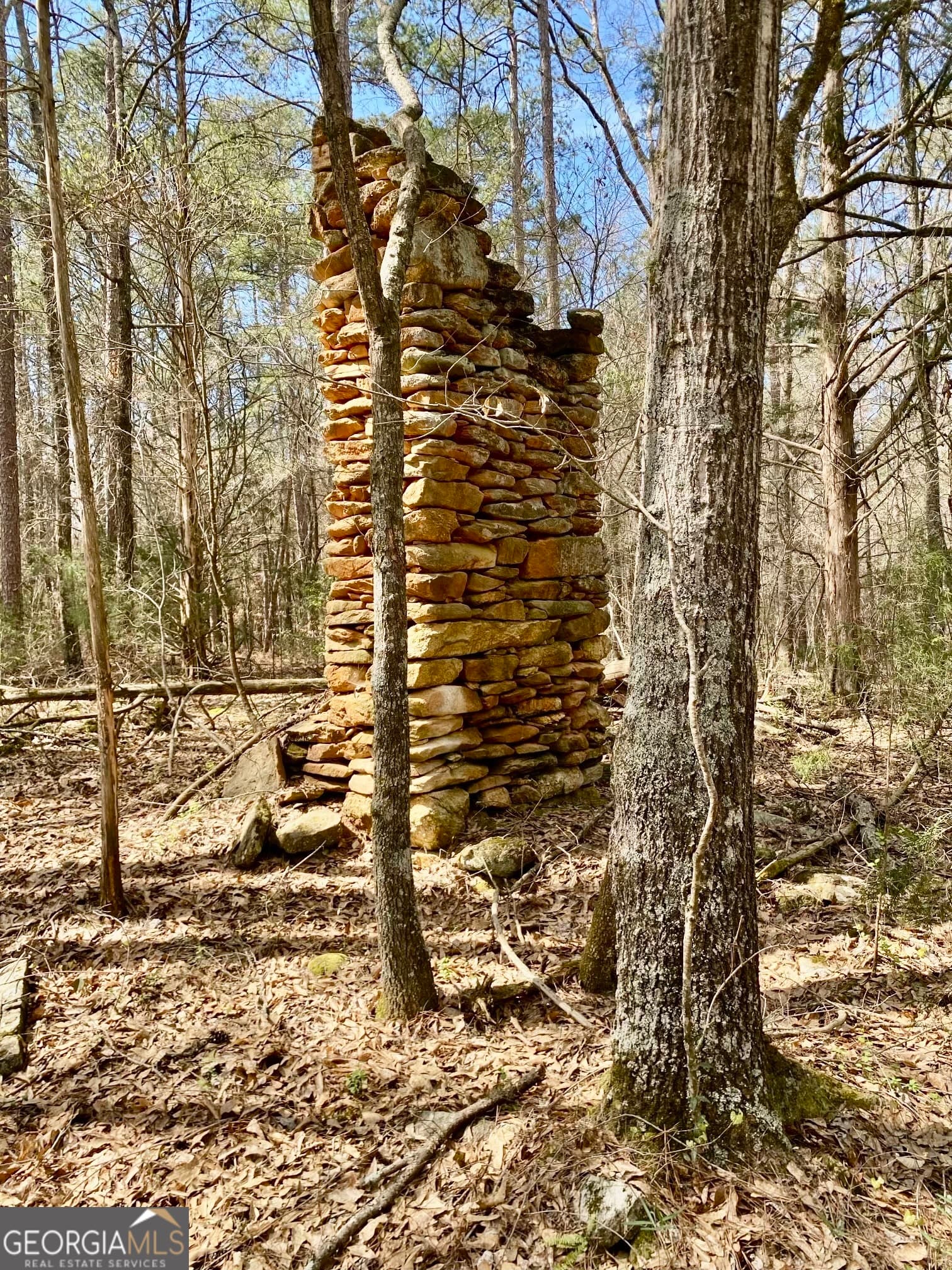 residential lot for sale at 0 Bond Drive, Elberton, GA 30635 — photo 4
