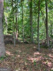 residential lot for sale at 0 Poplar Place, Wedowee, AL 36278 — photo 8