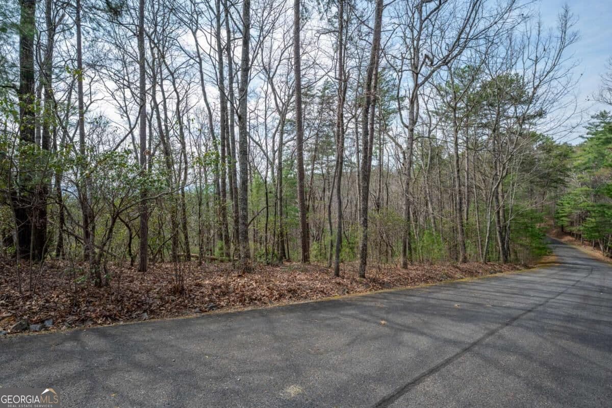 residential lot for sale at LOT 8 Oceola Drive, Ellijay, GA 30540 — photo 2
