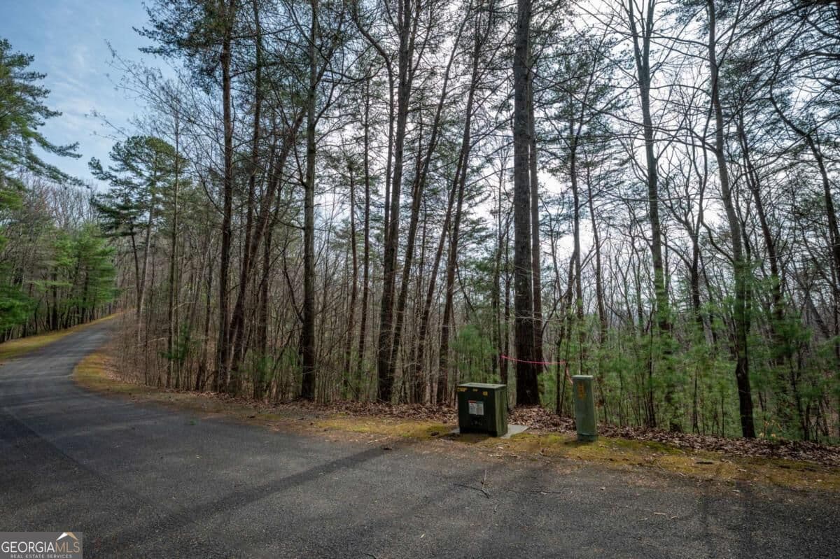 residential lot for sale at LOT 8 Oceola Drive, Ellijay, GA 30540 — photo 3