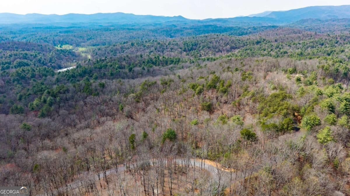 residential lot for sale at LOT 8 Oceola Drive, Ellijay, GA 30540 — photo 5